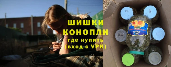 ГАЛЛЮЦИНОГЕННЫЕ ГРИБЫ Бабаево