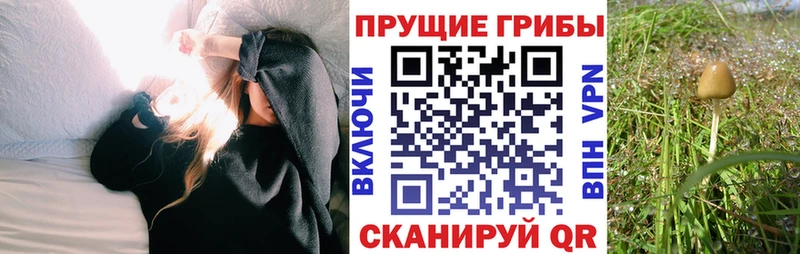 Галлюциногенные грибы мицелий  Таганрог 