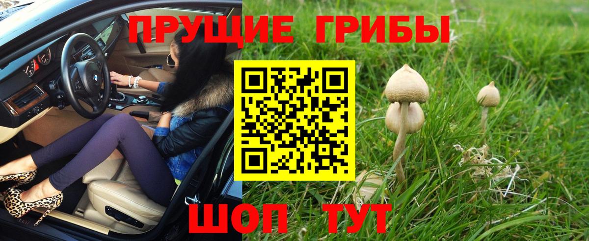 Галлюциногенные грибы Cubensis  Вход с VPN  Псилоцибиновые грибы Psilocybine cubensis  Таганрог 